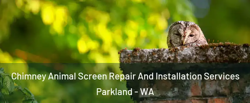  Chimney Animal Screen Repair And Installation Services Parkland - WA