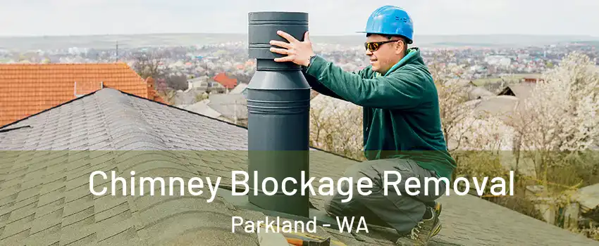  Chimney Blockage Removal Parkland - WA