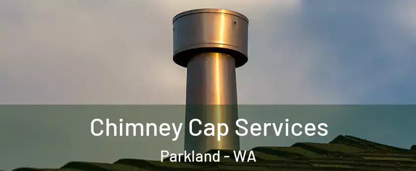  Chimney Cap Services Parkland - WA