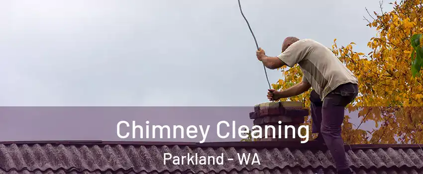 Chimney Cleaning Parkland - WA