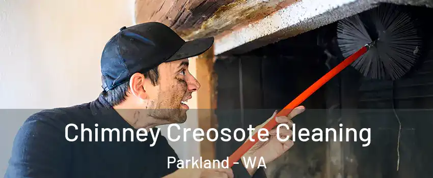  Chimney Creosote Cleaning Parkland - WA