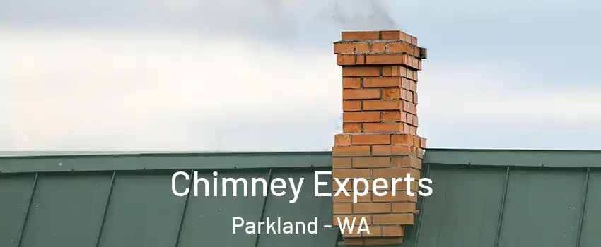 Chimney Experts Parkland - WA