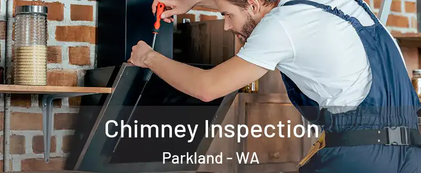  Chimney Inspection Parkland - WA