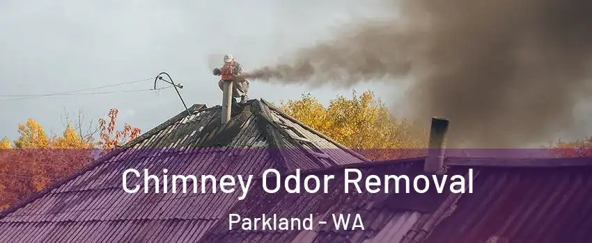  Chimney Odor Removal Parkland - WA