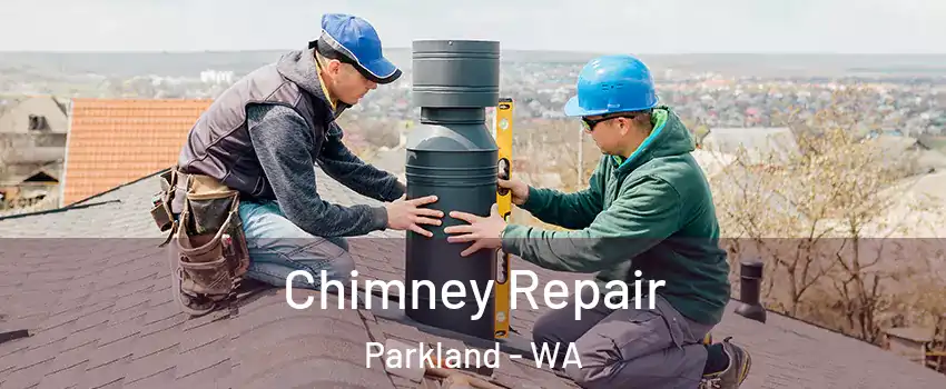 Chimney Repair Parkland - WA