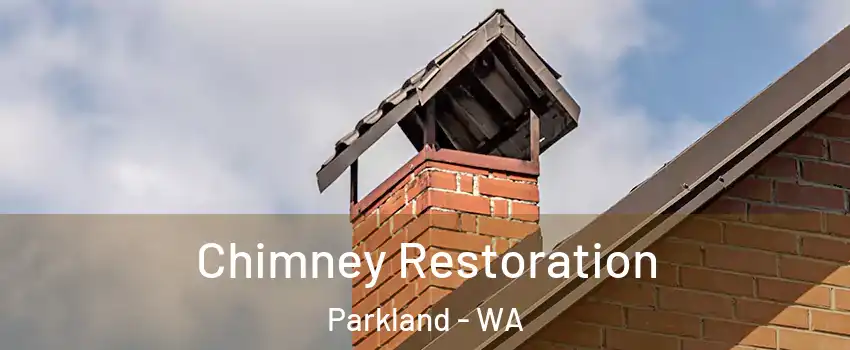  Chimney Restoration Parkland - WA