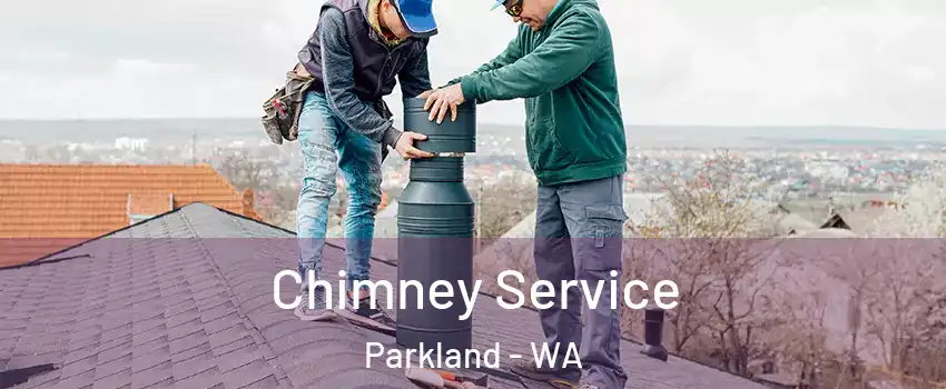  Chimney Service Parkland - WA