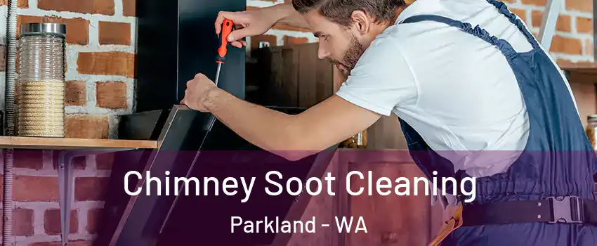  Chimney Soot Cleaning Parkland - WA