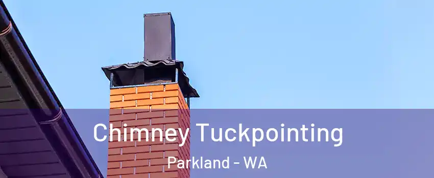  Chimney Tuckpointing Parkland - WA