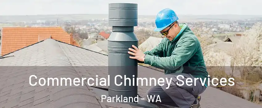  Commercial Chimney Services Parkland - WA