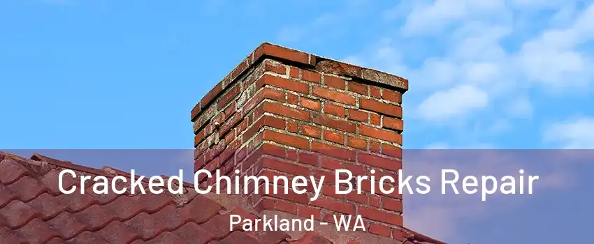  Cracked Chimney Bricks Repair Parkland - WA