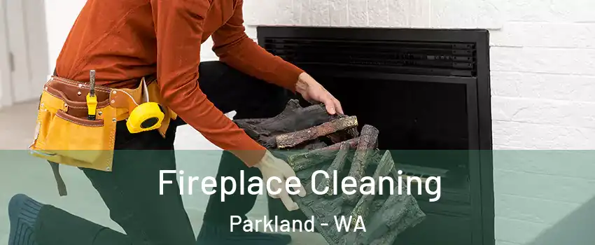  Fireplace Cleaning Parkland - WA