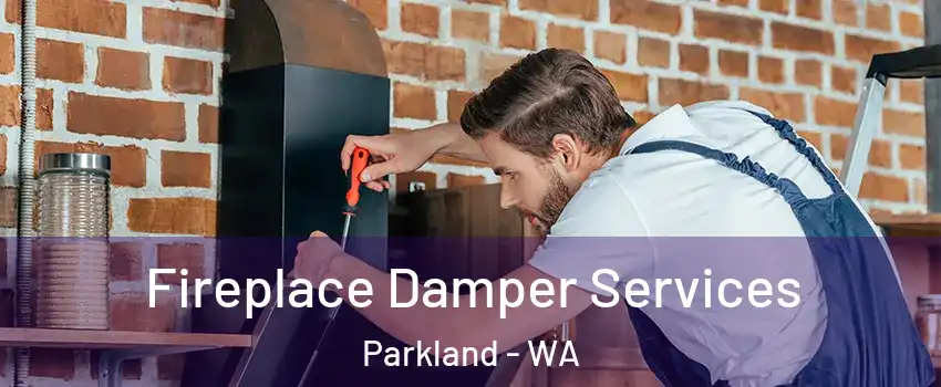  Fireplace Damper Services Parkland - WA