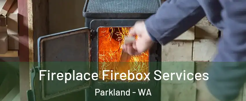  Fireplace Firebox Services Parkland - WA