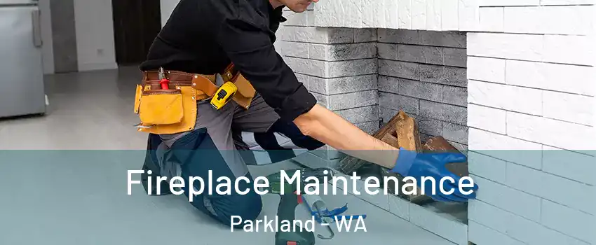  Fireplace Maintenance Parkland - WA