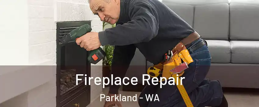  Fireplace Repair Parkland - WA