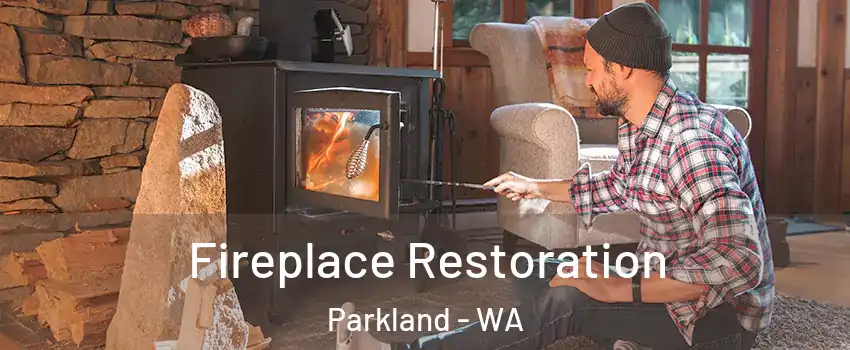  Fireplace Restoration Parkland - WA