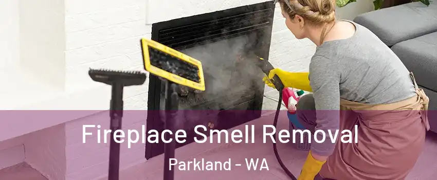  Fireplace Smell Removal Parkland - WA