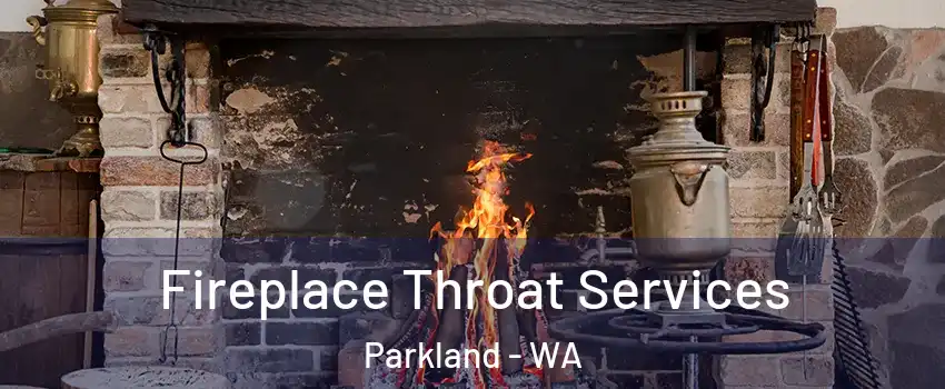  Fireplace Throat Services Parkland - WA