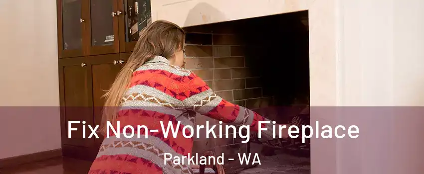  Fix Non-Working Fireplace Parkland - WA