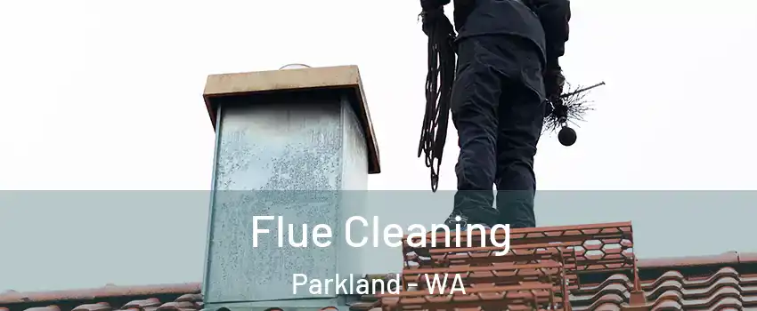  Flue Cleaning Parkland - WA