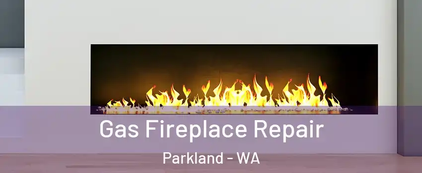  Gas Fireplace Repair Parkland - WA