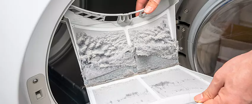 Best Dryer Lint Removal Company in Parkland, Washington