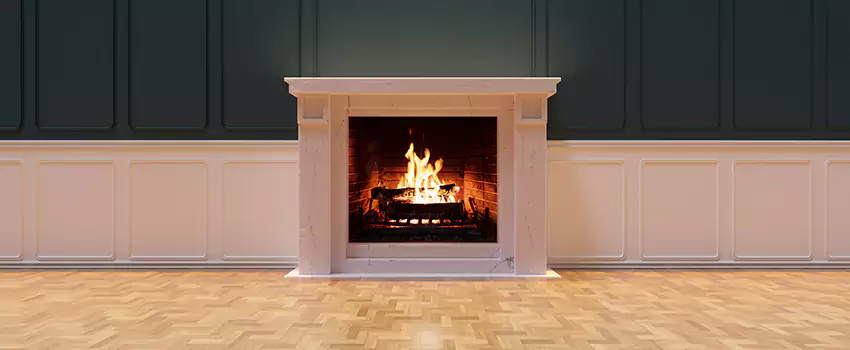 Napoleon Electric Fireplaces Inspection Service in Parkland, Washington
