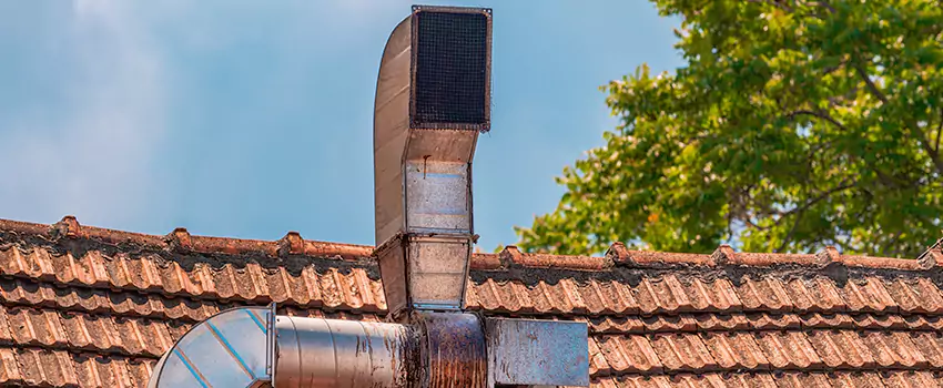 Chimney Blockage Removal in Parkland, Washington