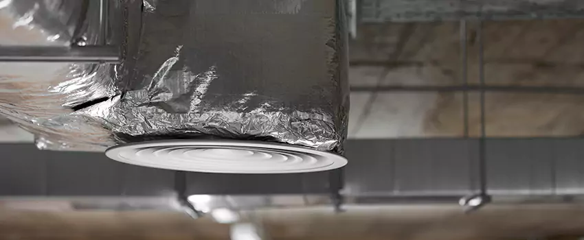 Signs of Dust Accumulation in Vents in Parkland, WA