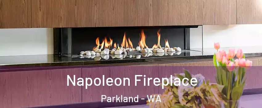  Napoleon Fireplace Parkland - WA