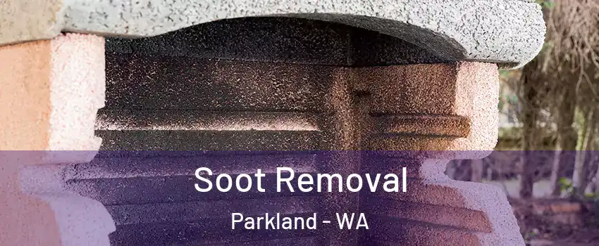  Soot Removal Parkland - WA