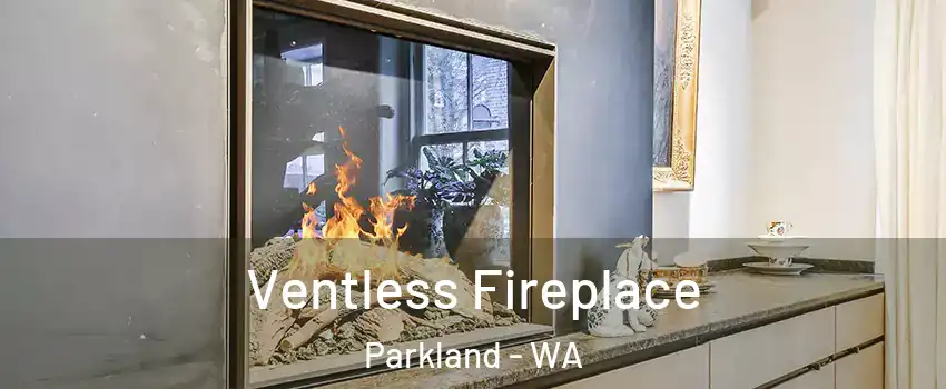  Ventless Fireplace Parkland - WA